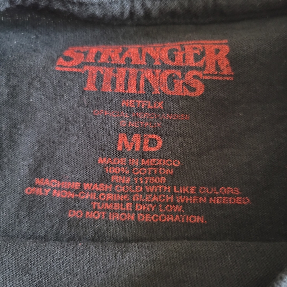 Stranger Things - image 3